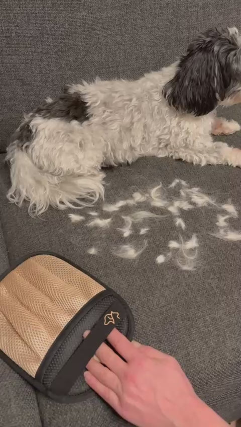 PawMigoO Fellfänger – Tierhaare von Sofa, Kleidung & Auto entfernen
